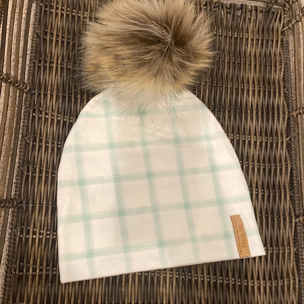 Minted Moose Beanie